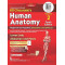 Bd chaurasia’s human anatomy vol - 2 regional and applied dissection and clinical lower limb abdomen and pelvic