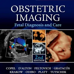 Obstetric Imaging: Fetal Diagnosis and Care - 2E