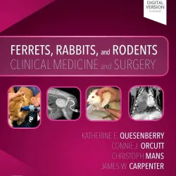 Ferrets Rabbits and Rodents-4E