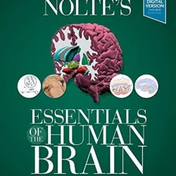 Nolte's Essentials of the Human Brain -2E