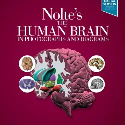 Nolte's The Human Brain in Photographs and Diagrams -5E