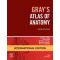 Grays Atlas of Anatomy, IE-3E