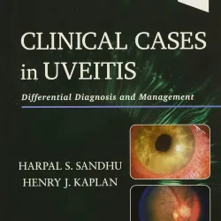 Clinical Cases in Uveitis-1E