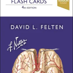 Netter's Neuroscience Flash Cards-4E