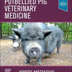 Potbellied Pig Veterinary Medicine-1E