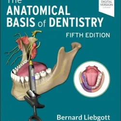 The Anatomical Basis of Dentistry - 5E