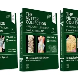 The Netter Collection of Medical Illustrations: Musculoskeletal System Package (VOL-6)-3E