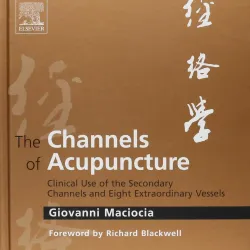 The Channels of Acupuncture - 1E