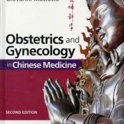 Obstetrics & Gynecology in Chinese Med-2E