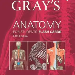 Gray's Anatomy for Students Flash Cards - 5E