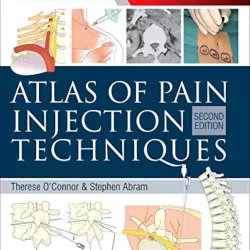 Atlas of Pain Injection Techniques 2/e