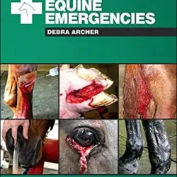 Handbook of Equine Emergencies1E