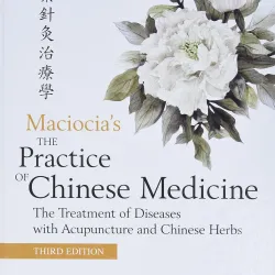 The Practice of Chinese Medicine-3E