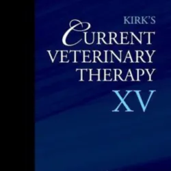 Kirks Current Vet Therapy XV-1E