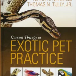 Current Therapy in Exotic Pet Practice - 1E