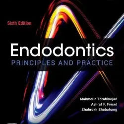 Endodontics, Principles and Practice (SAE) - 6E