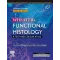 Wheaters Functional Histology (SAE) -7E