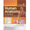 Human anatomy for students regional and clinically oriented, volume ii 1ST EDITION 2024