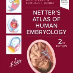 Netter's atlas of human embryology 2ND ED. 2024