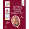 Netter's atlas of human embryology 2ND ED. 2024