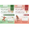 Textbook of human anatomy volume 5 (head neck and face volume 6 brain ( 2 volume set)