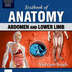 Textbook of Anatomy: Head, Neck and Brain, Vol III, 4e Paperback – 18 June 2023