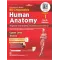 Bd chaurasia’s human anatomy vol - 1 regional and applied dissection and clinical upper limb thorax 10th edition 2024